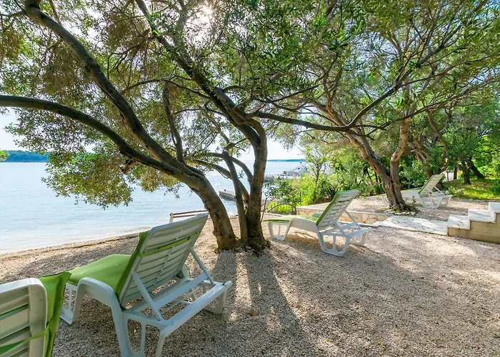 Apartment And Bianca